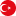 Türkçe